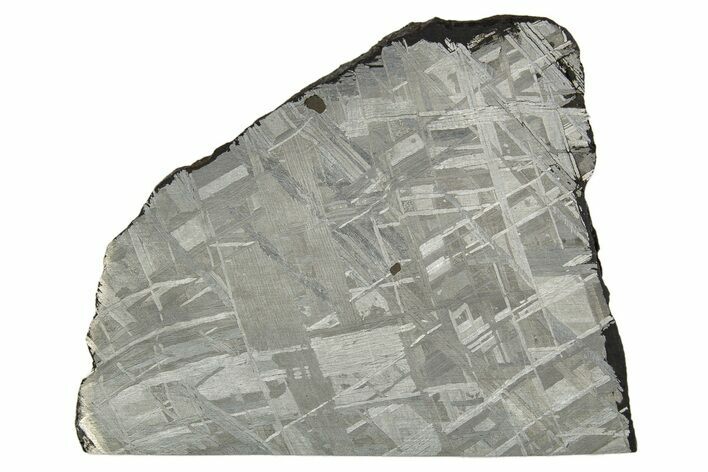 Etched Muonionalusta Meteorite Slice ( g) - Sweden #316714